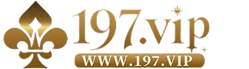 197vip33 com
